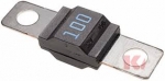 Varovalka 100A MINI
